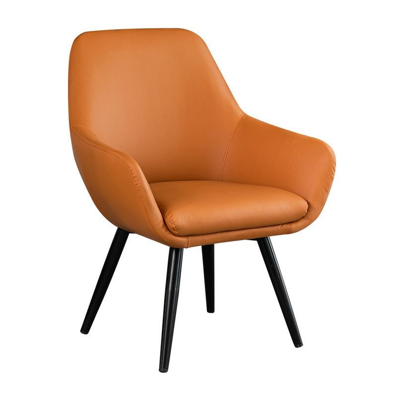 Modern Leisure sofa chair